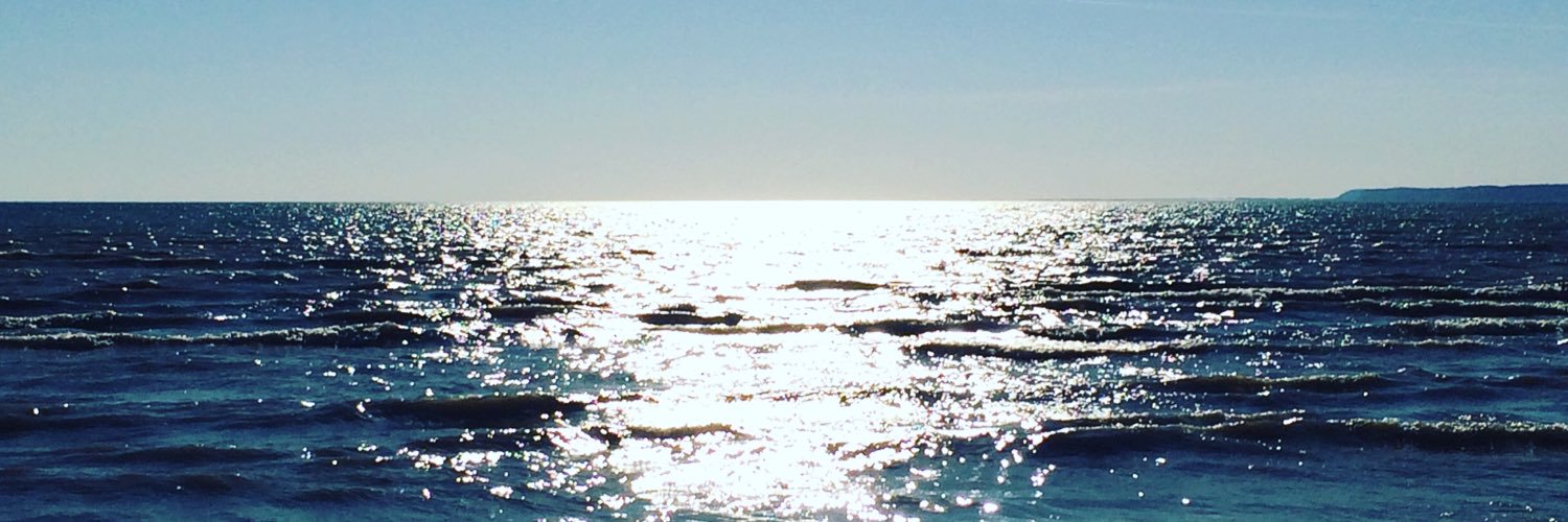 teresabaerg's profile banner image