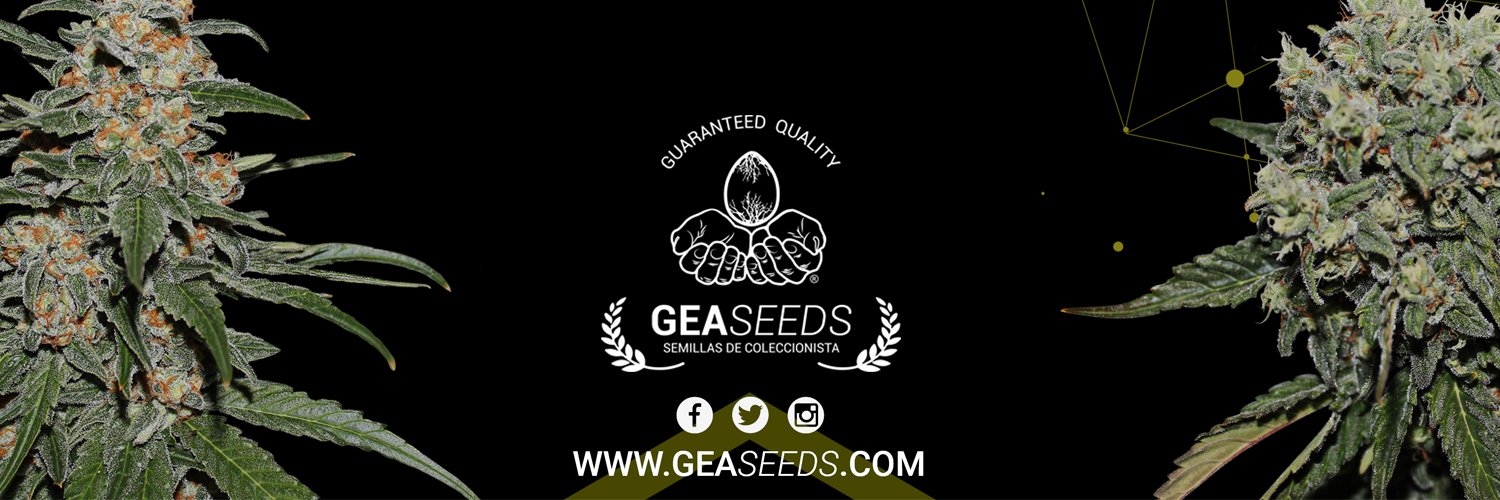 Gea Seeds banner