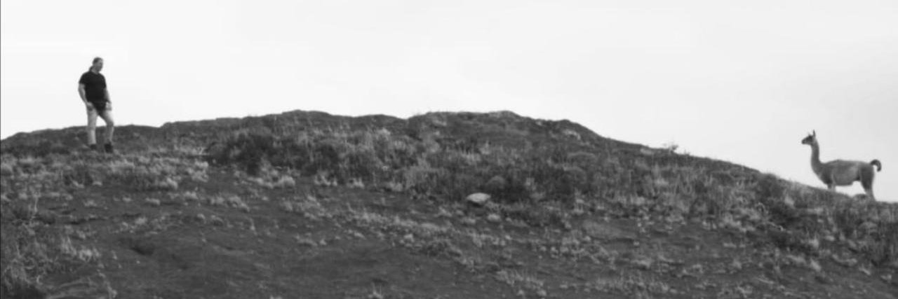 andrepandini's profile banner image