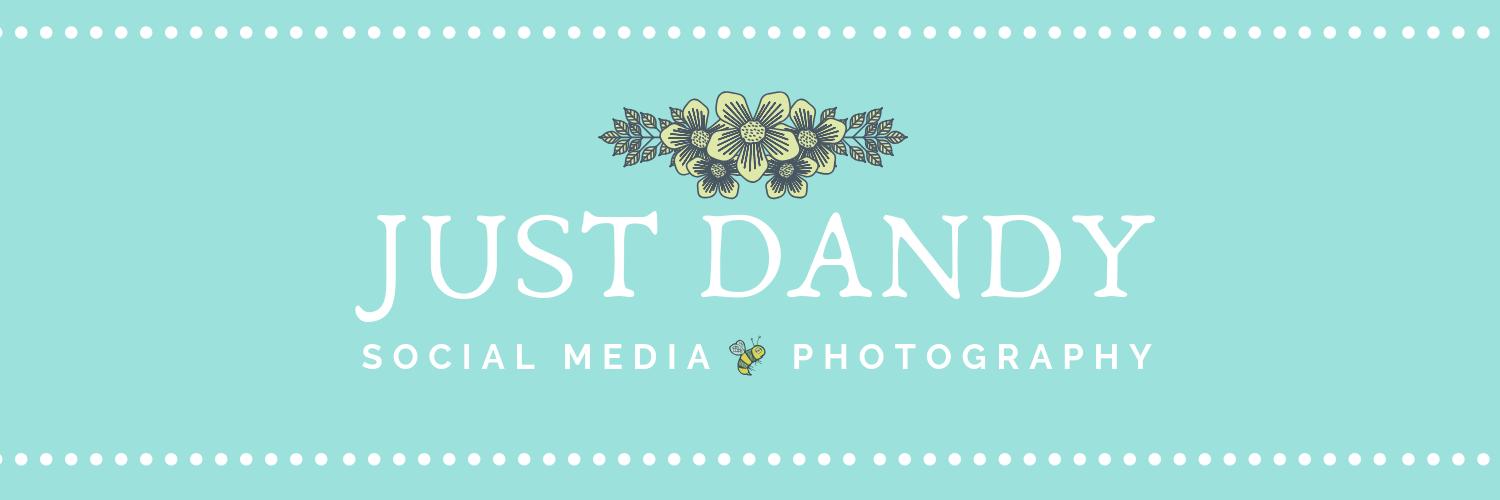 justdandyphotog's profile banner image