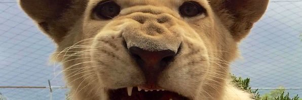 lenster38's profile banner image