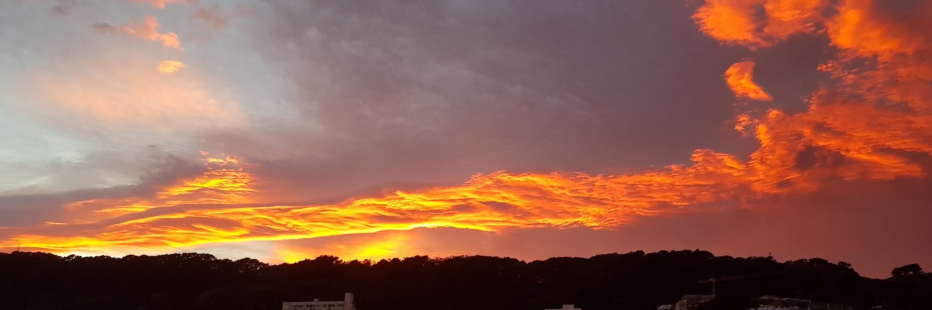 philipmachado's profile banner image