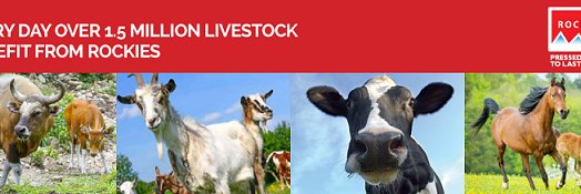 ExportTithebarn's profile banner image