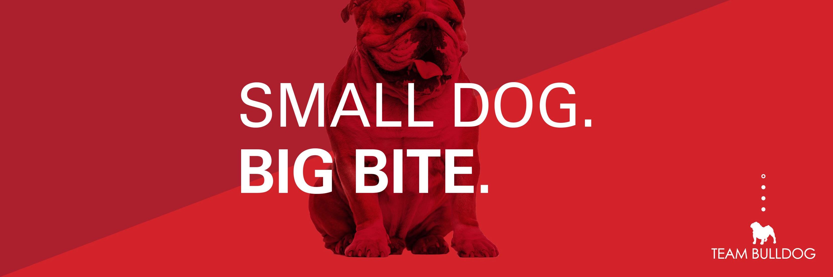 bulldogcreative's profile banner image