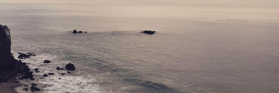 HealthyHanh's profile banner image