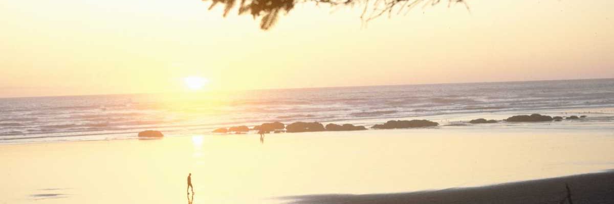 PamRobinson8's profile banner image