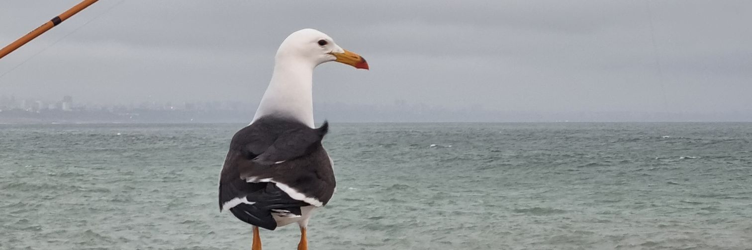 joalmr's profile banner image