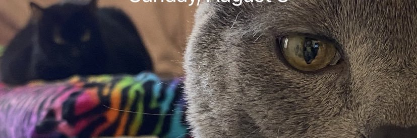 SamJaxxn's profile banner image