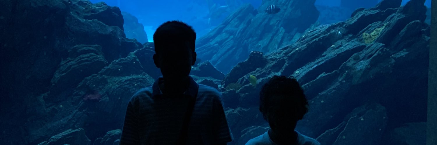 dtmvski's profile banner image