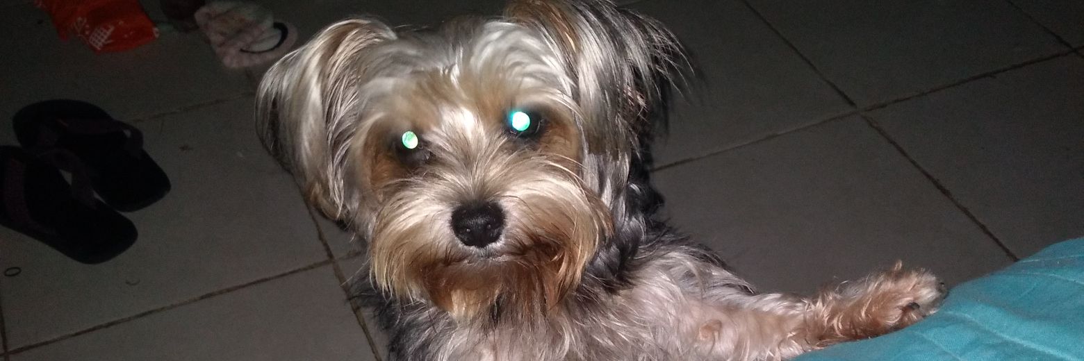 JennyCanoP's profile banner image