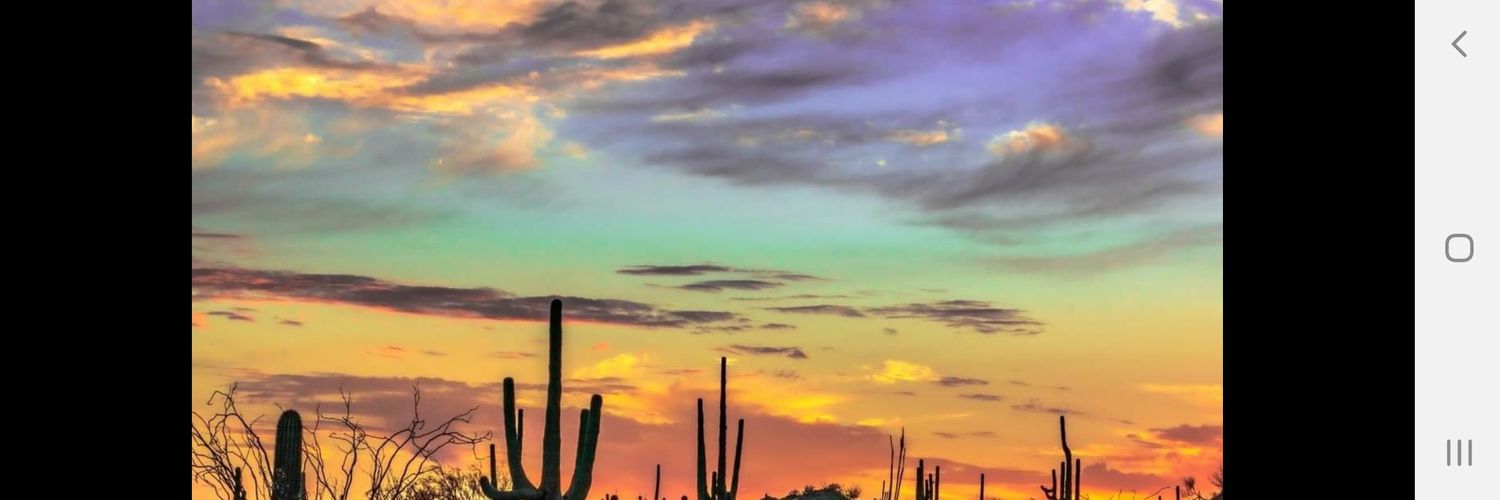 MichelleKamb's profile banner image