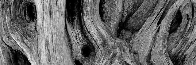 Louise_Roblin's profile banner image