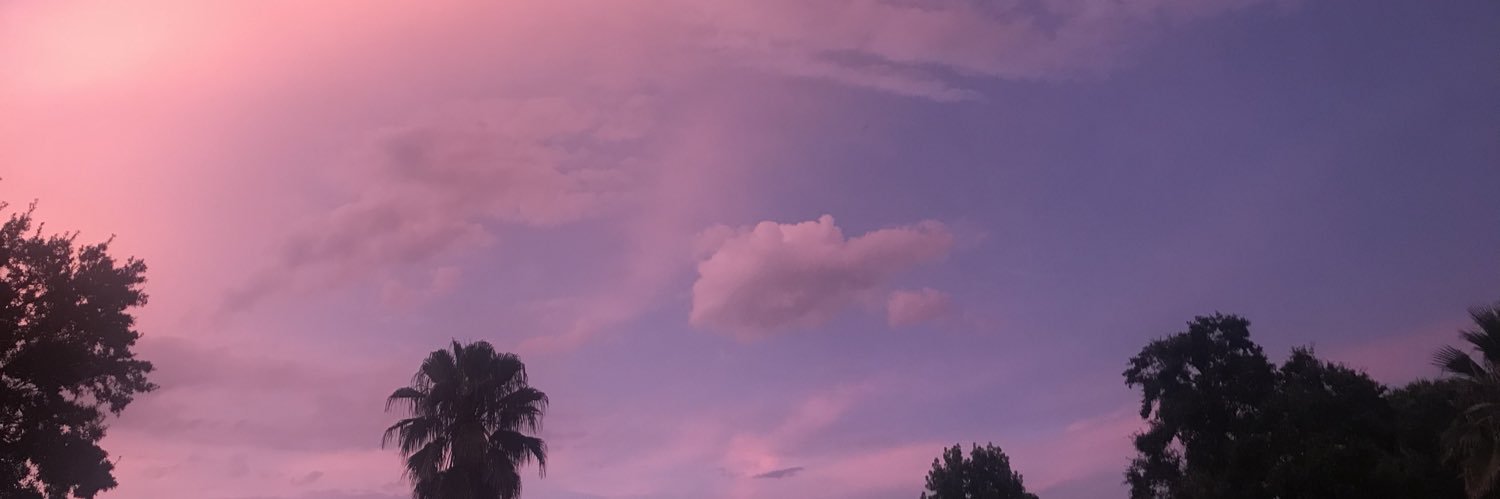 phebebuckingham's profile banner image