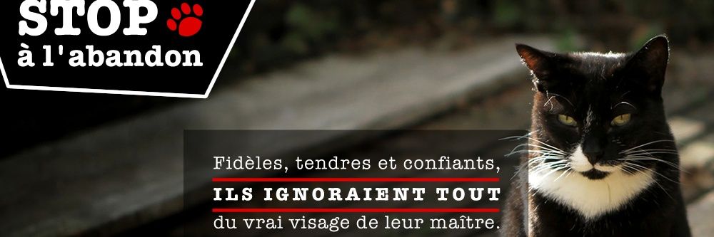 Collectif Chats & Cie banner