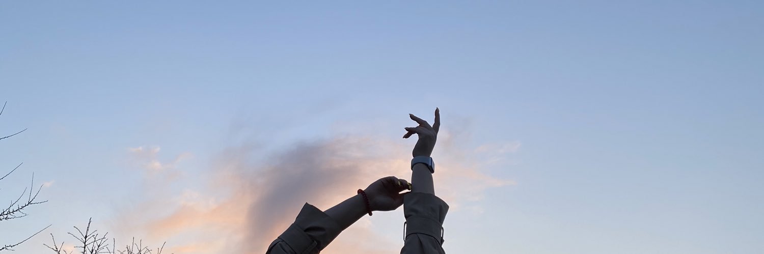Софа banner