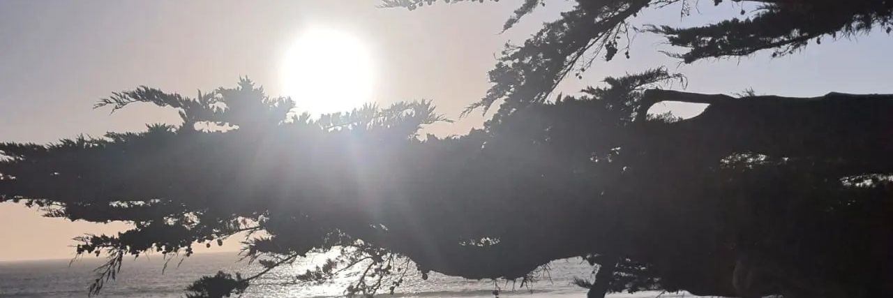 Jurestrep's profile banner image
