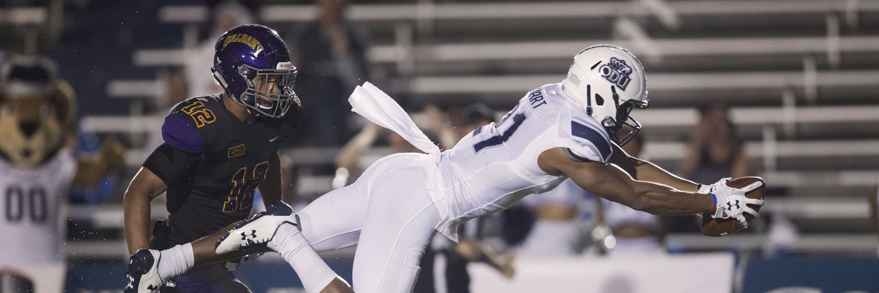 VirginianPilotSports banner