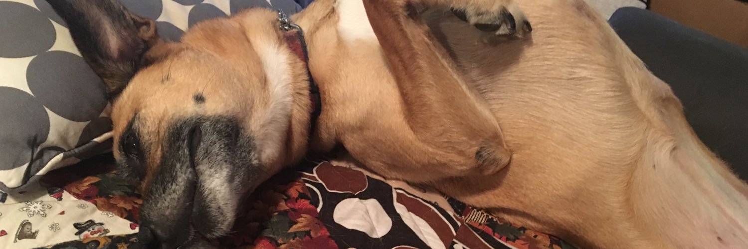shlitch's profile banner image