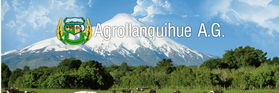 Agrollanquihue banner