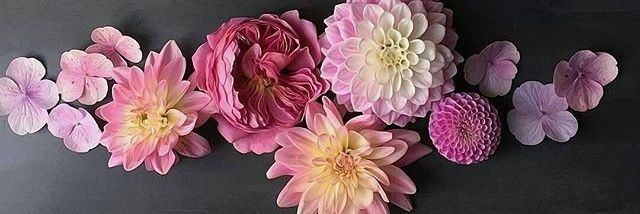 ·!¦[·نبض الأمل·]¦!· banner