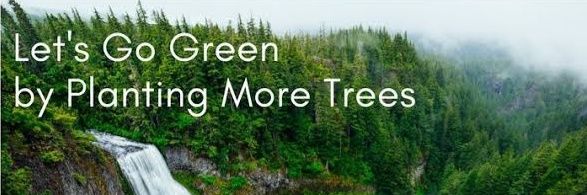 Teerath Singh baghel banner