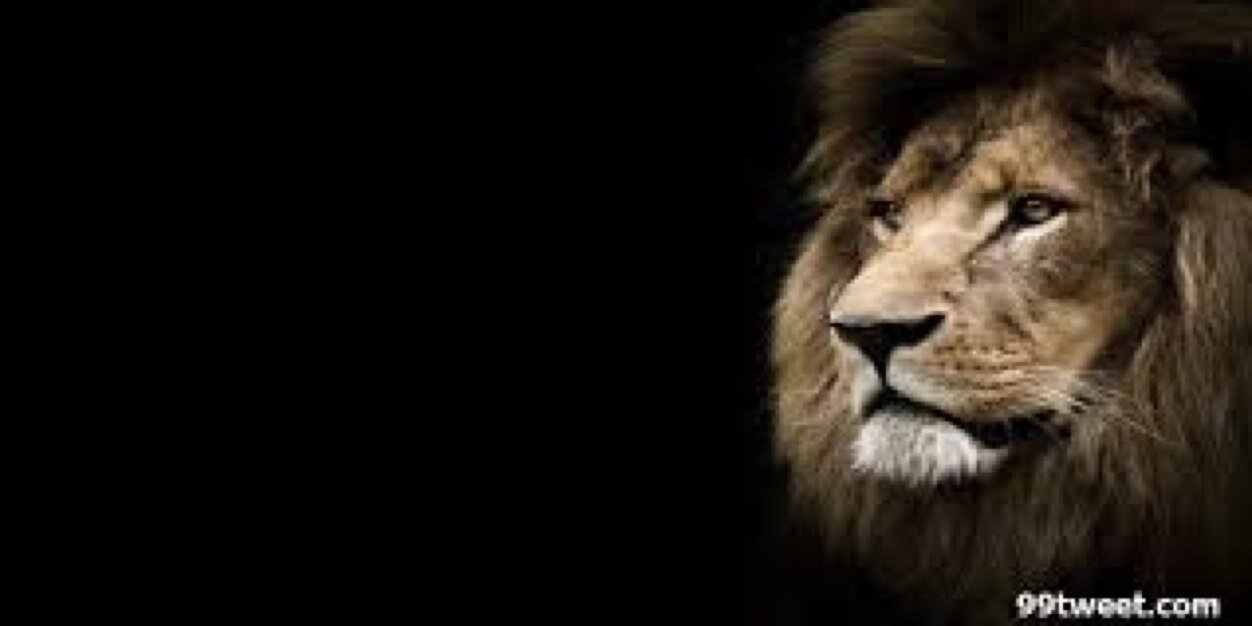 Marron029's profile banner image