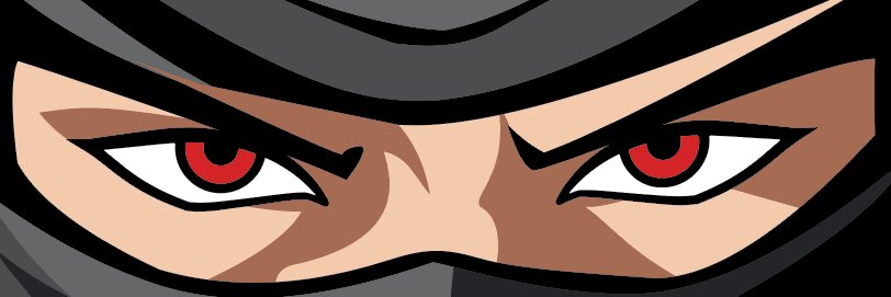 fenixaru's profile banner image