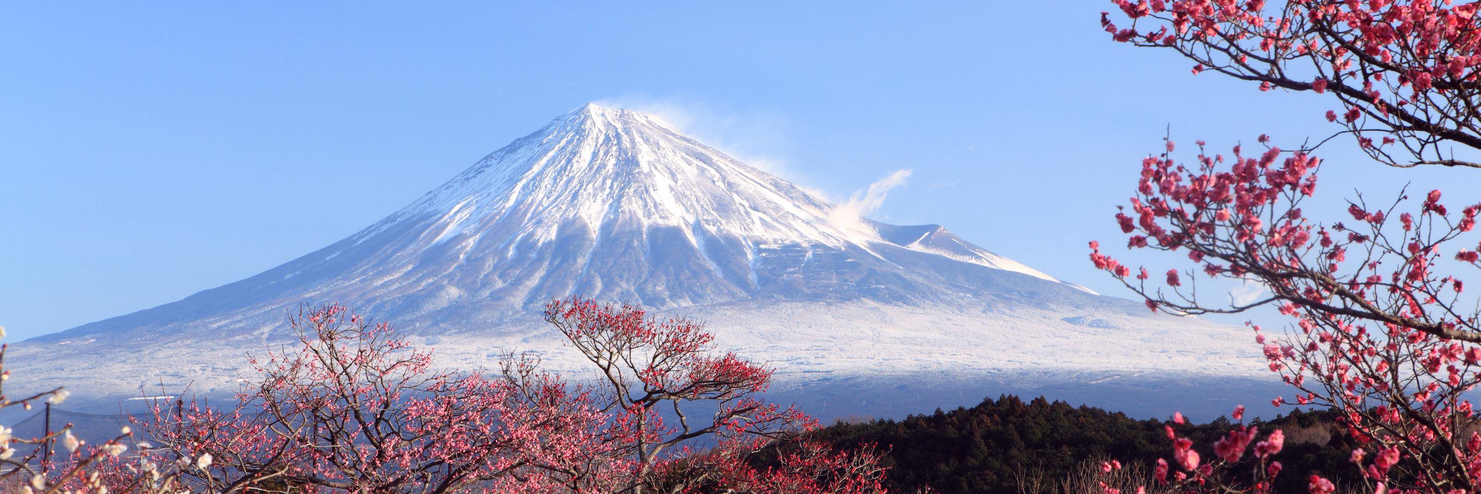 Japan_ASMSA's profile banner image