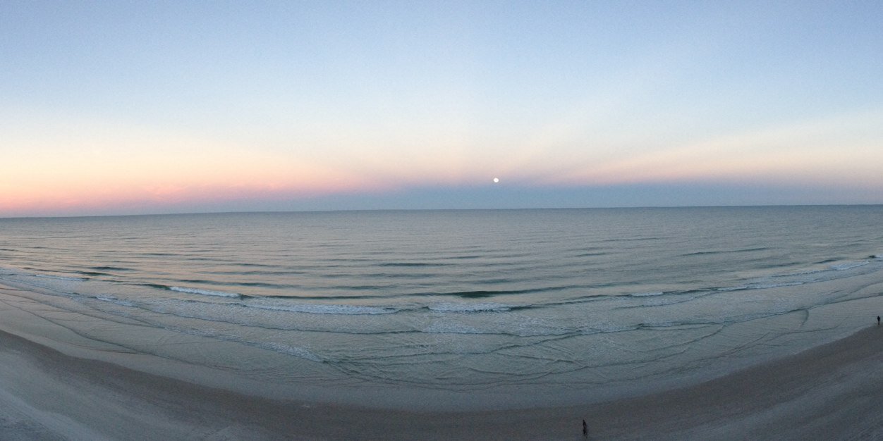 Trevor Williams banner