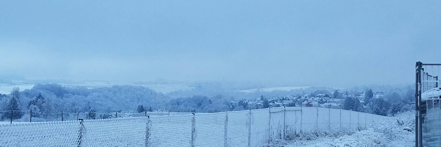 Dolores Carter, M.Ed banner