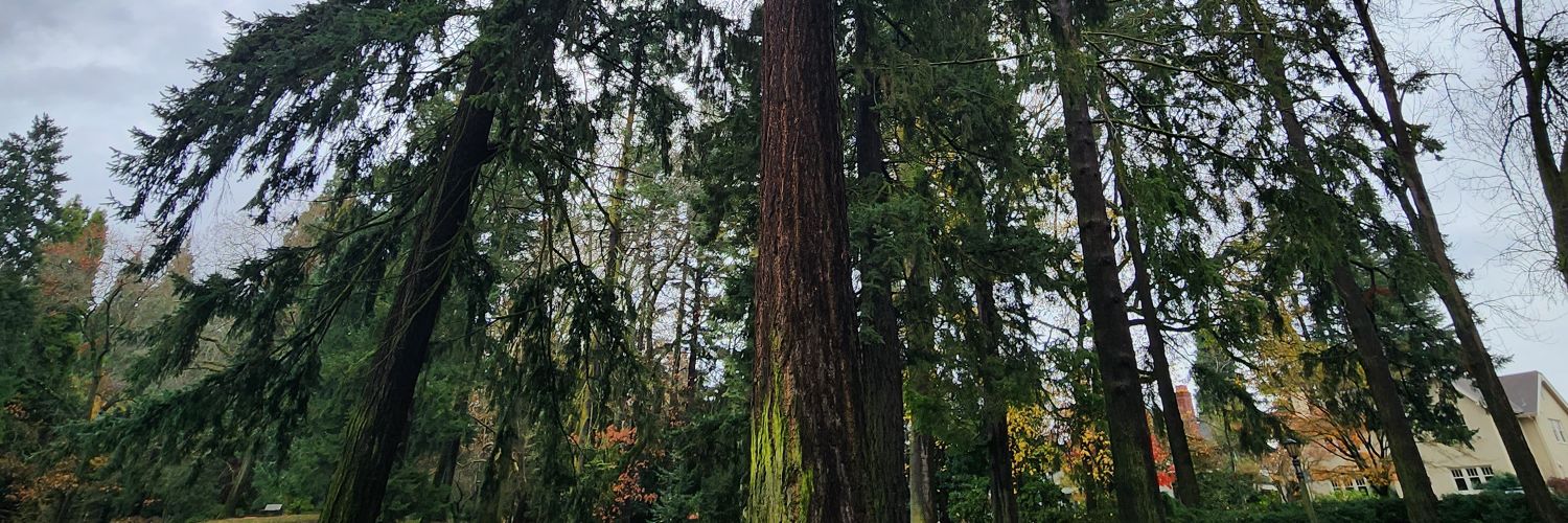 maebethgrace's profile banner image