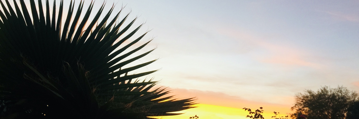 Instrumentalie's profile banner image