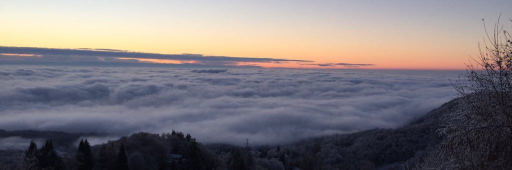 OliveriLuca's profile banner image
