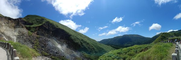 TP_Thepalm Profile Banner