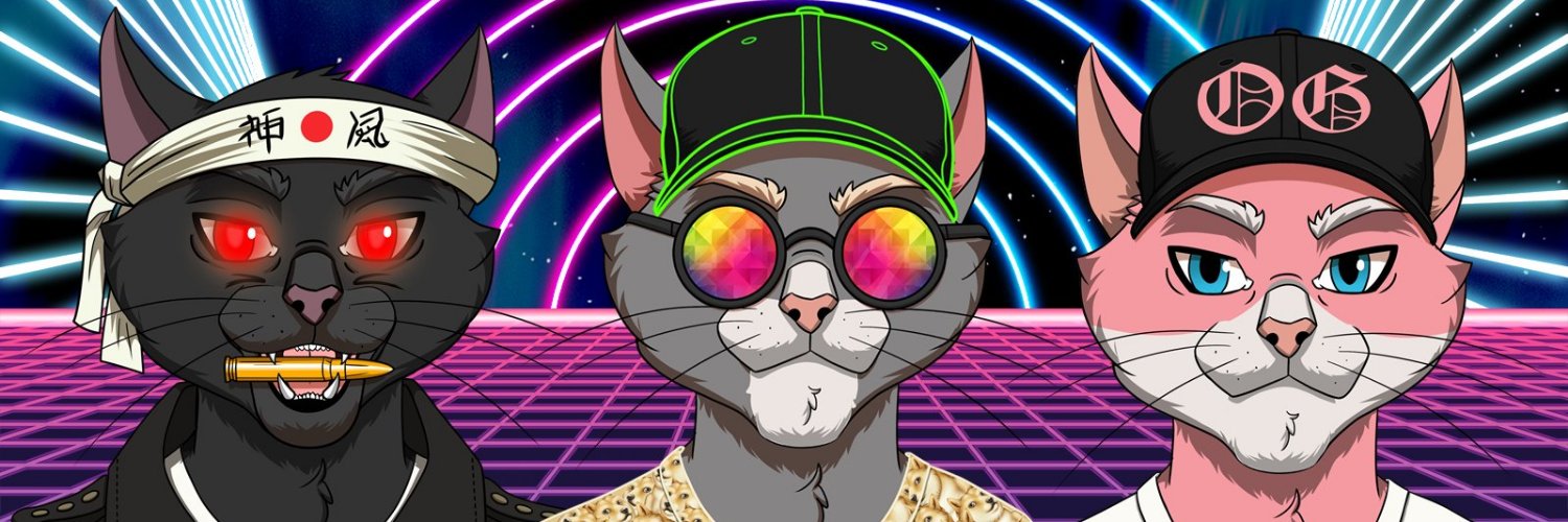 gohnlidi's profile banner image
