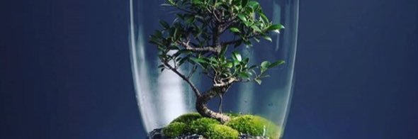 matilda_chimda's profile banner image