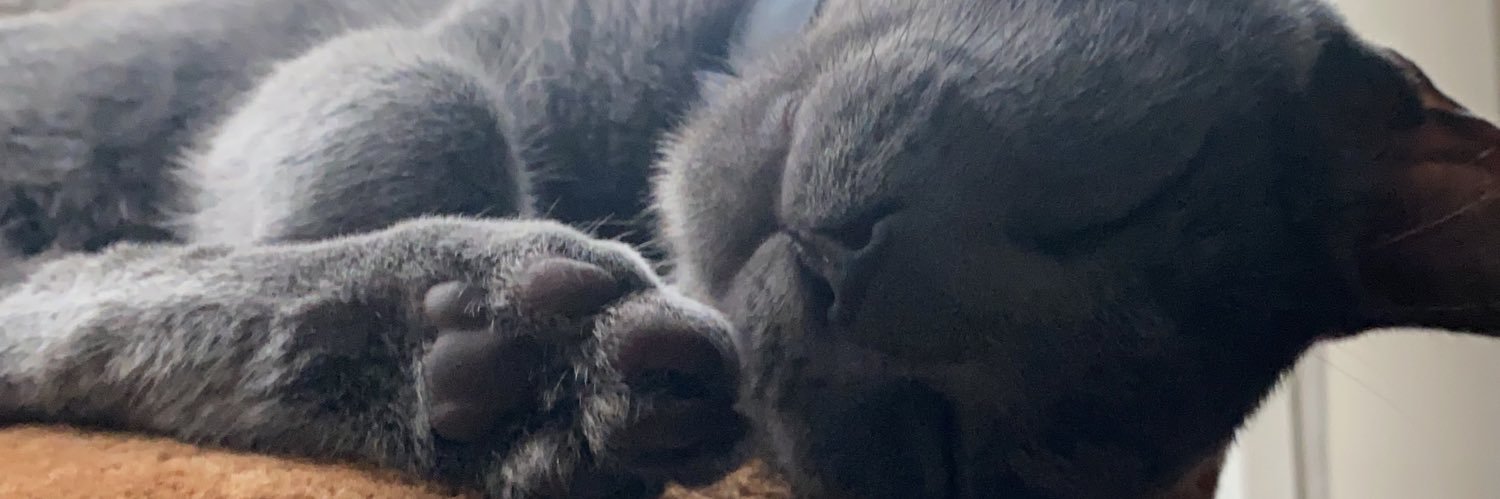 jgustavosg's profile banner image