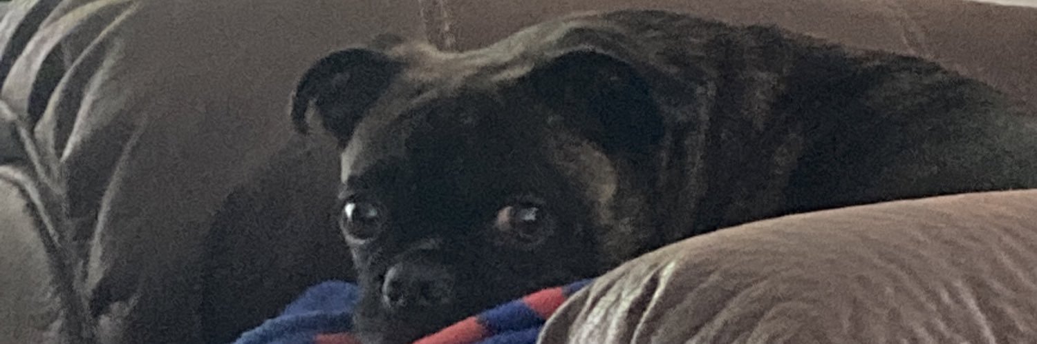 ColdFreezer15 banner