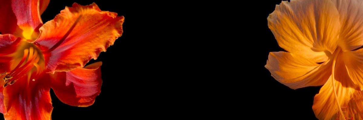 Which_Mariana's profile banner image