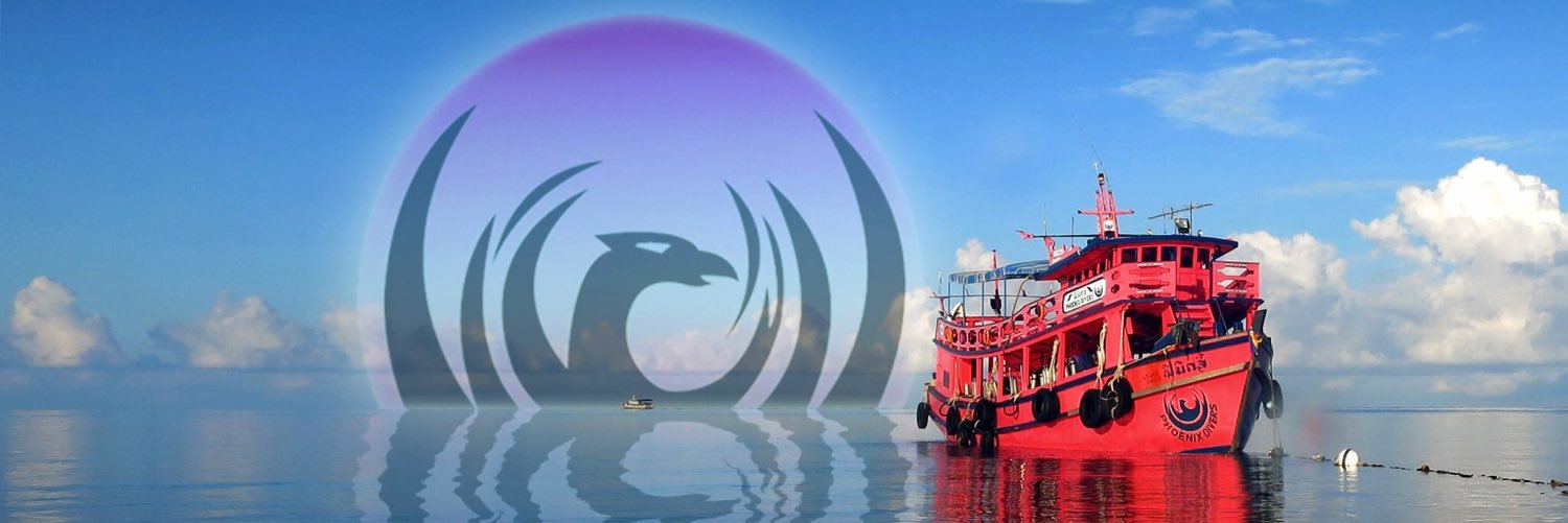 phoenixdivers1's profile banner image