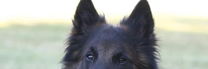 Maryapril06's profile banner image