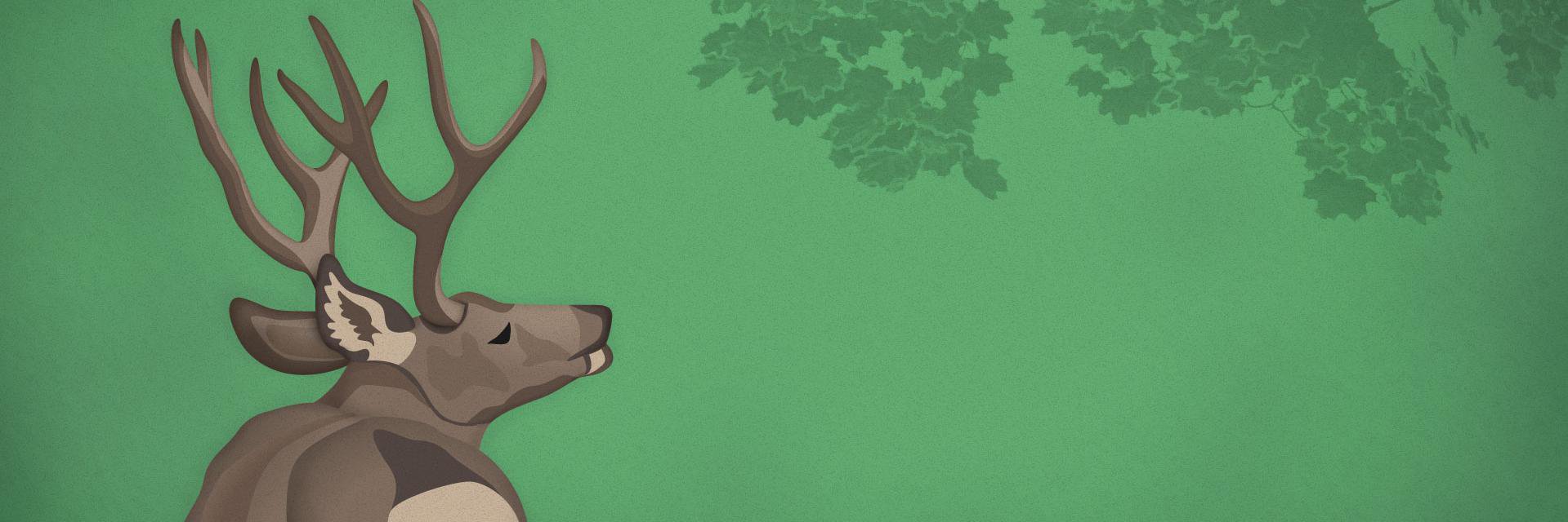 DiamTRN's profile banner image