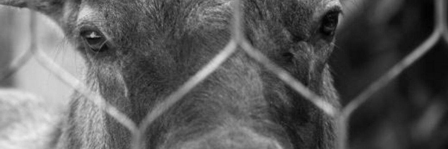 yetkintaskin's profile banner image