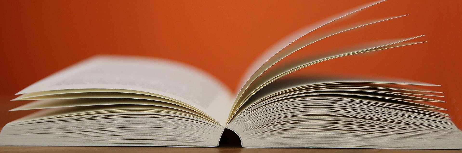 ApplewildReads's profile banner image
