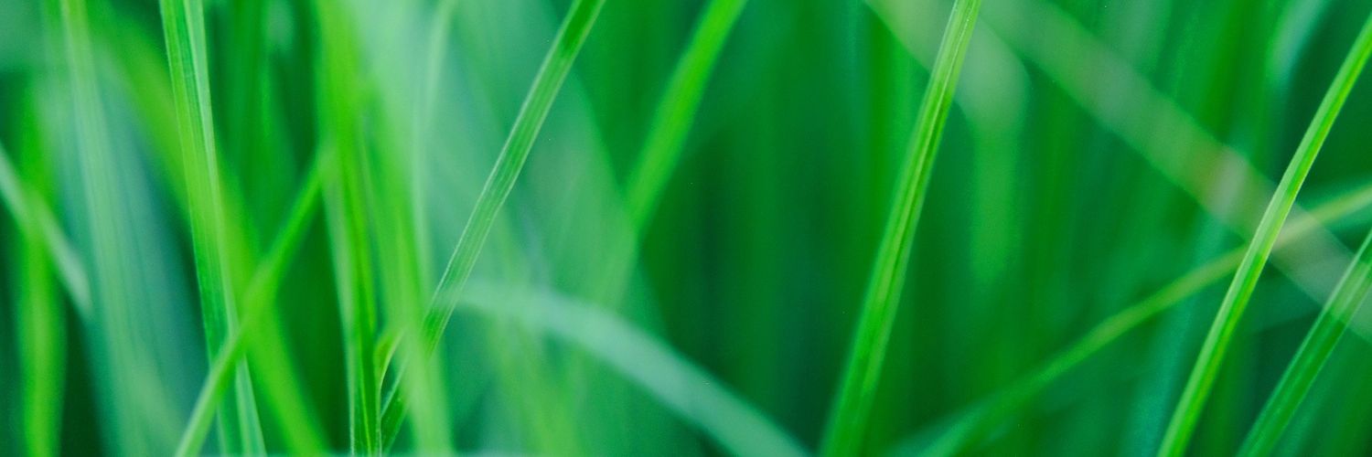 DerMannausdenBergen banner