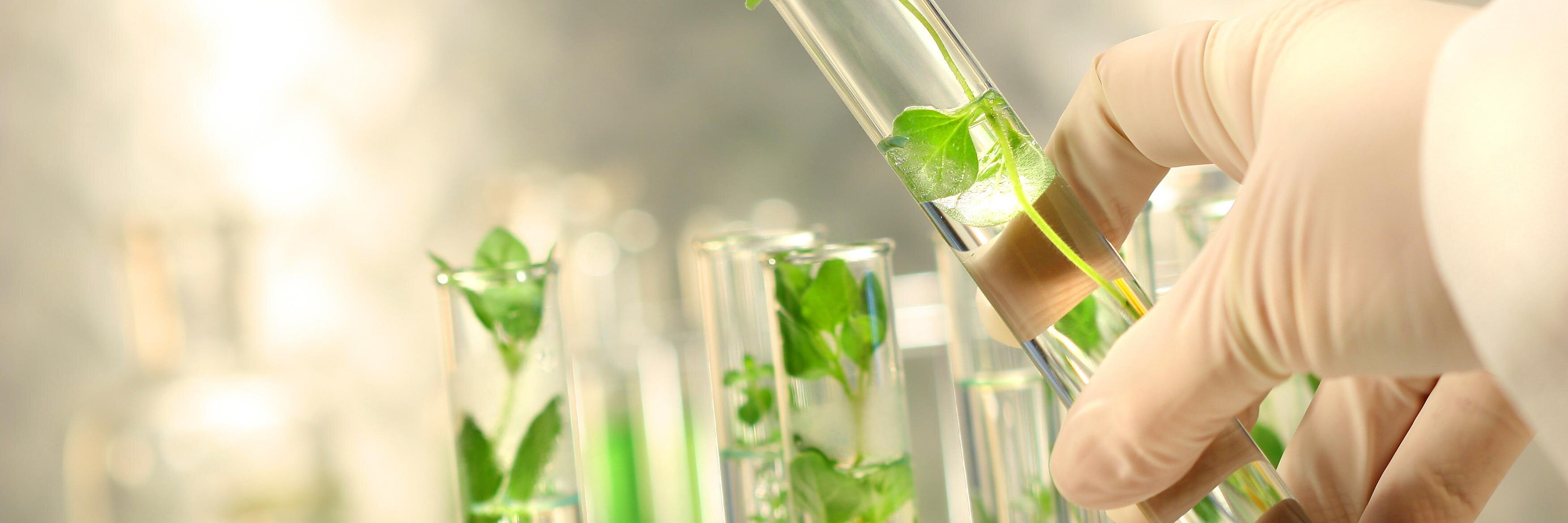 BIOVEGEN's banner