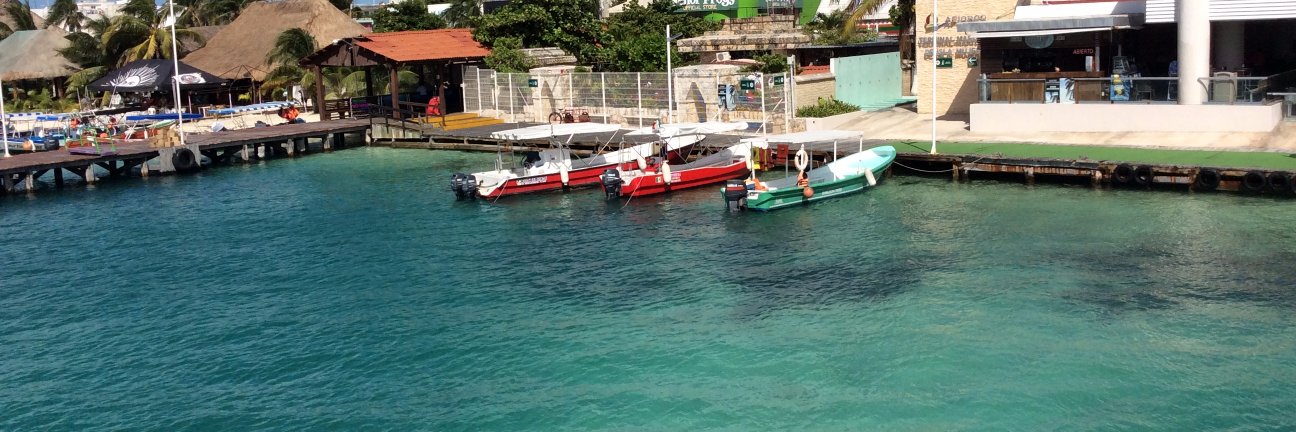 CaribbeanBlueM's profile banner image