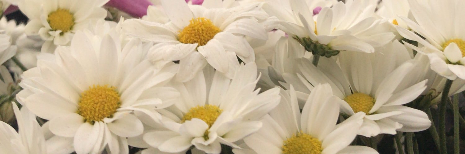 duda banner
