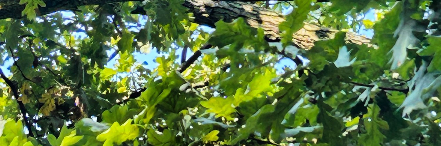 MariaCnstantine's profile banner image