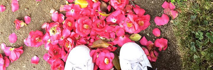 Alfonsina Almandoz banner